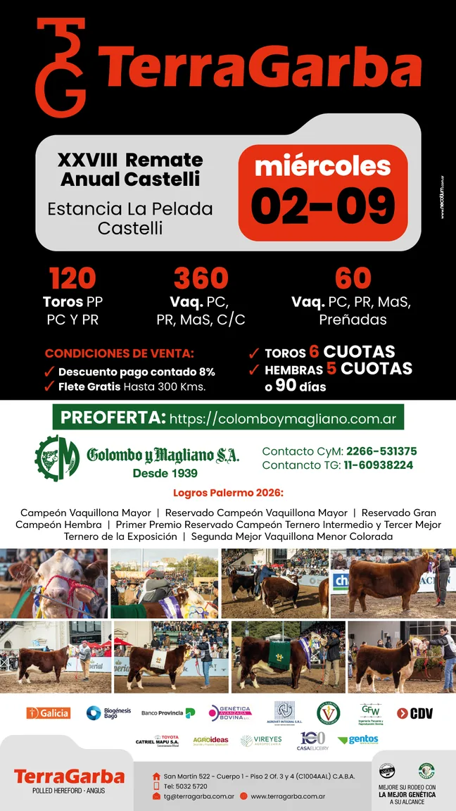 XXVIII Remate Anual Castelli — TerraGarba